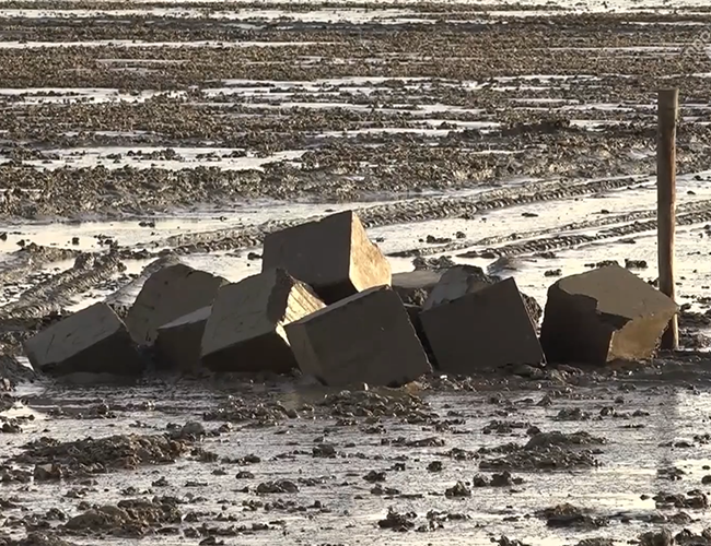 rifblokken gemaakt van samengeperste baggerspecie op het wad